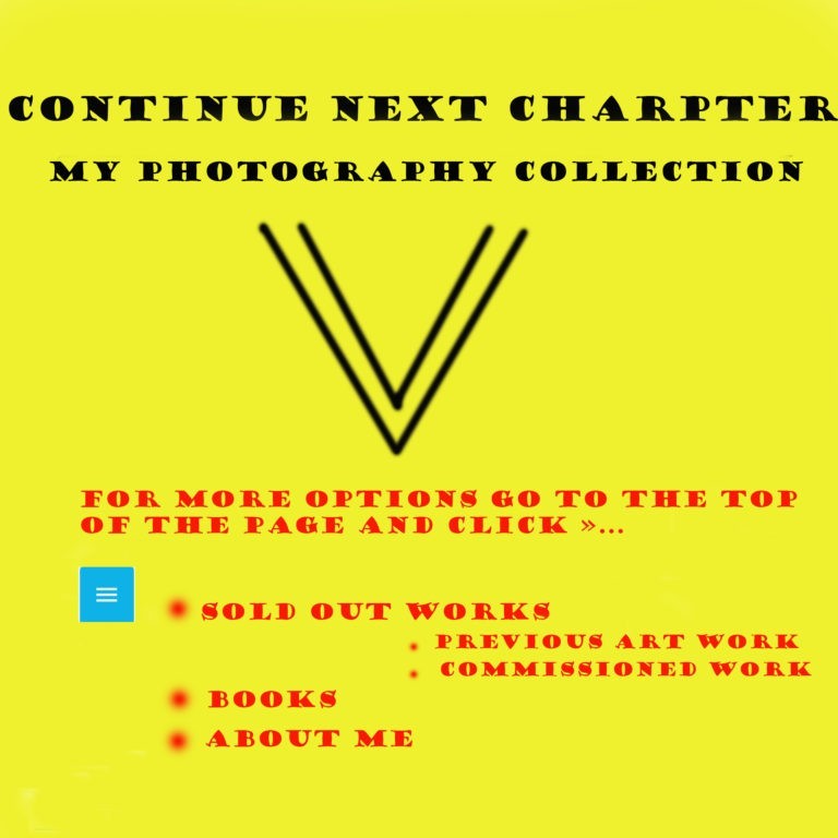 Photography Collection